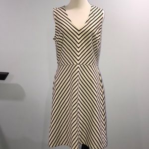 Ann Taylor LOFT dress